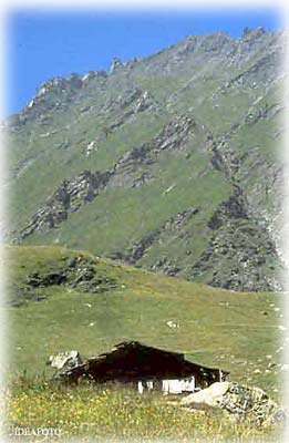 Alpe Crusenna (  Idea Foto)